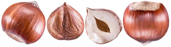 Set of hazelnuts or filberts and kernel of hazelnut. Clipping pa — Stock Photo, Image