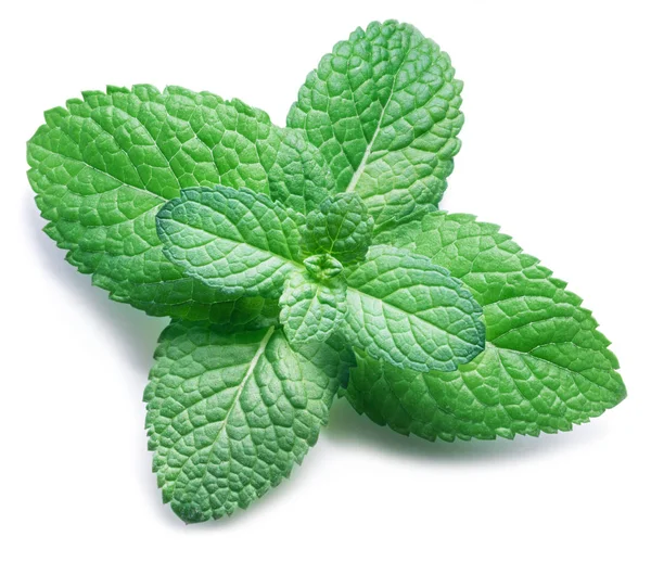 Spearmint or mint on white background. Top view. — Stock Photo, Image