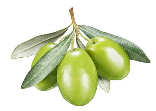 Tři zelené olivové bobule s listy. — Stock fotografie