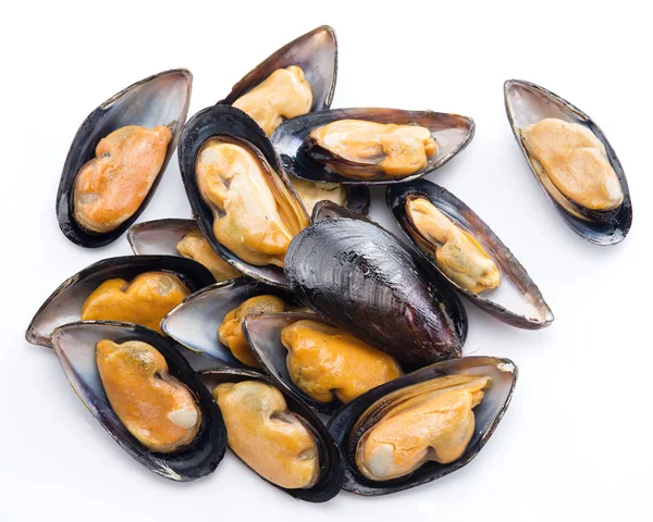 Mussels on a white background. — Stock Photo, Image