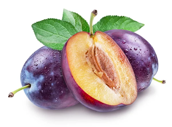 Plums with water drops. File contains clipping path. — Stock Photo, Image