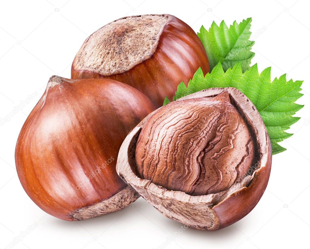 Hazelnuts, kernel of hazelnut and green leaves. Clipping path.