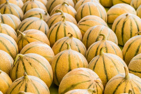 Mogen cantaloupemelon meloner. Mat bakgrund. — Stockfoto