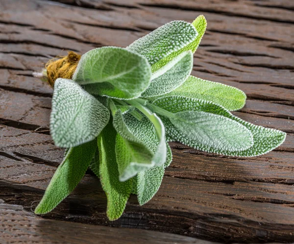 Fresh leaves of garden sage on the wooden background. — Stock Photo, Image