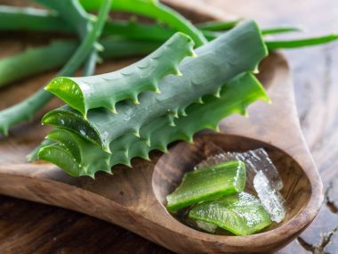Taze aloe vera ahşap tepsi üzerinde yakın bırakır.