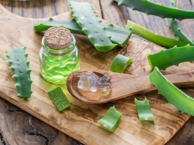 Taze aloe bırakır ve aloe jeli ahşap sekmesinde kozmetik kavanoza