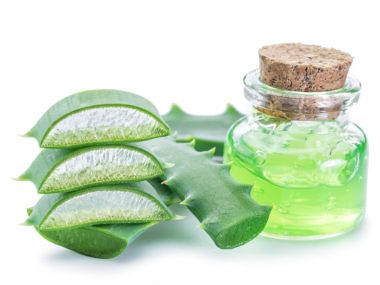 Aloe ya da Aloe vera beyaz arka planda taze yapraklar ve dilimler.