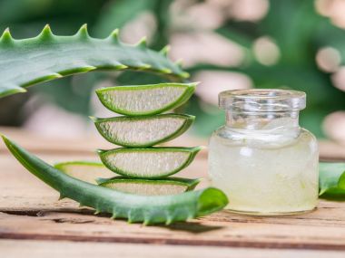 Fresh aloe leaves and aloe gel in the cosmetic jar on wooden tab clipart