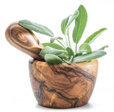 Garden sage in the wooden mortar on the white background. clipart