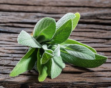 Fresh leaves of garden sage on the wooden background. clipart