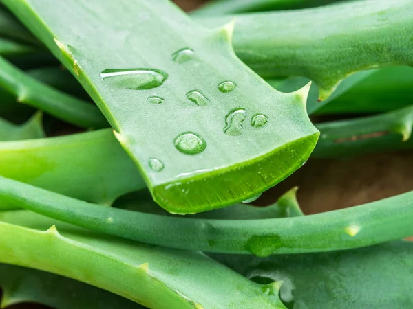 Aloe atau Aloe vera daun segar dan irisan pada latar belakang putih. — Stok Foto
