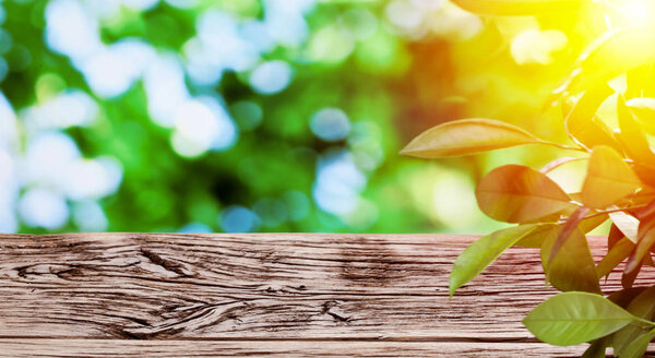 Old wooden table with green foliage at the background.