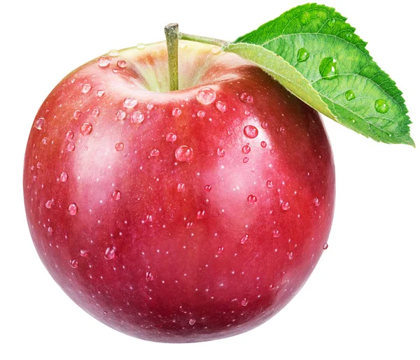 Moget rött äpple med vattendroppar. — Stockfoto