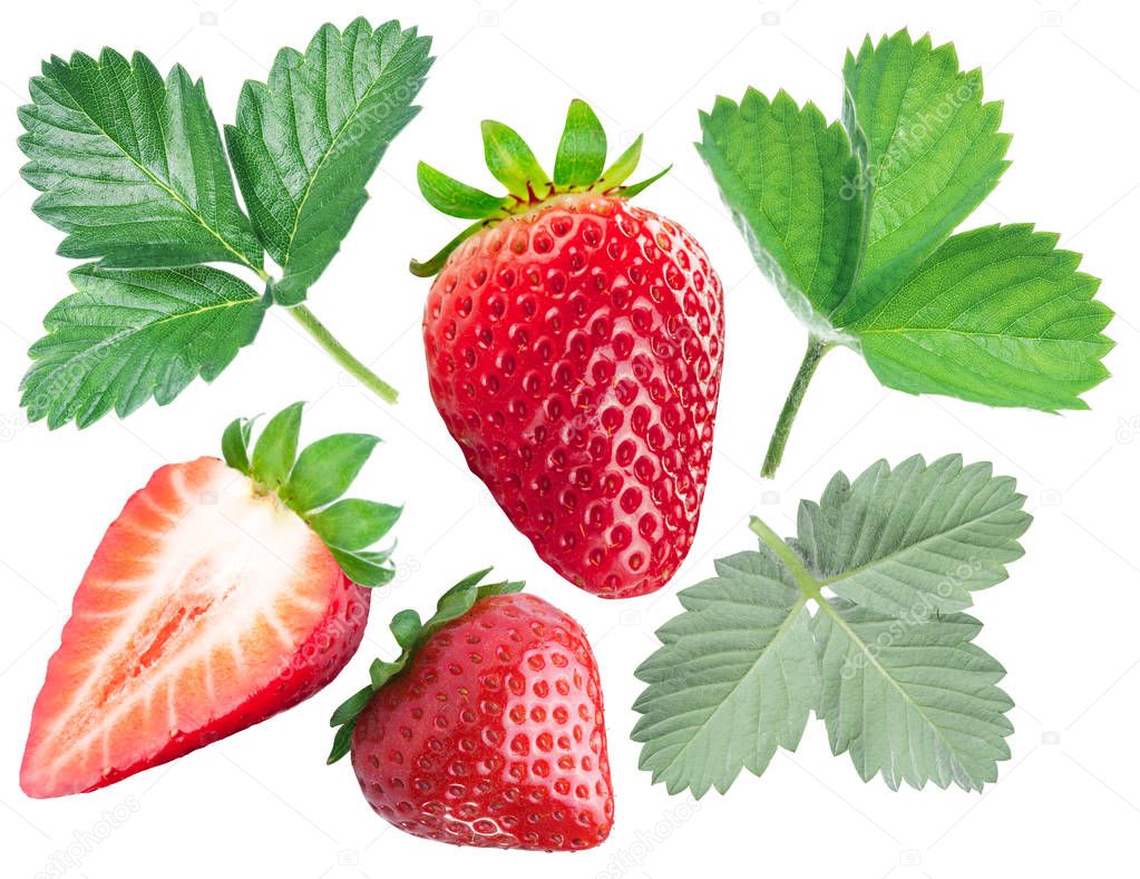 Collection of strawberries and strawberry leaves on white backgr