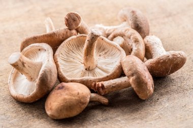 Shiitake mantar ahşap arka plan üzerinde.