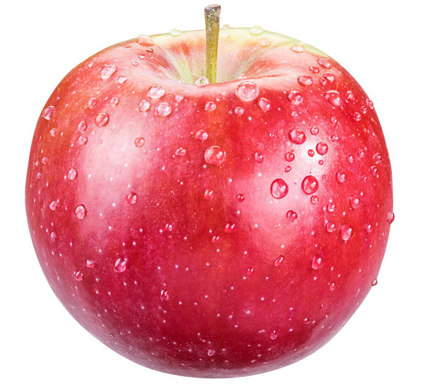 Ripe red apple with water drops. 