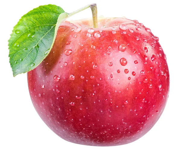 Dojrzałe czerwone jabłko z kropli wody. — Zdjęcie stockowe