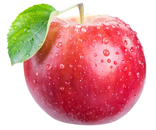 Ripe red apple with water drops. 