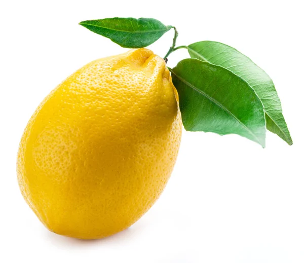 Frutto maturo al limone con foglie sullo sfondo bianco . — Foto Stock