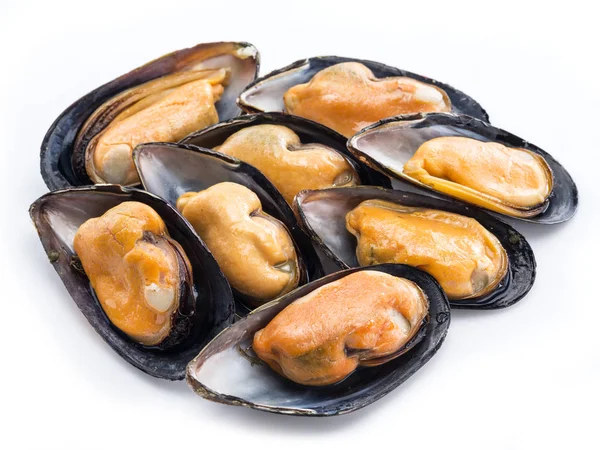 Mussels on a white background. — Stock Photo, Image