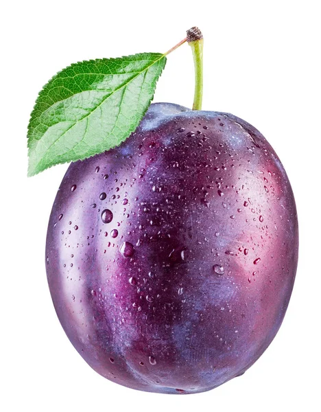 Plum with water drops. File contains clipping path. — Stock Photo, Image