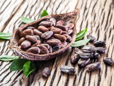 Ahşap masa Cocao pod ve cocao fasulye.