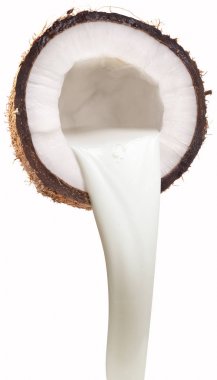 Coconut milk pouring out of coconut fruit. clipart
