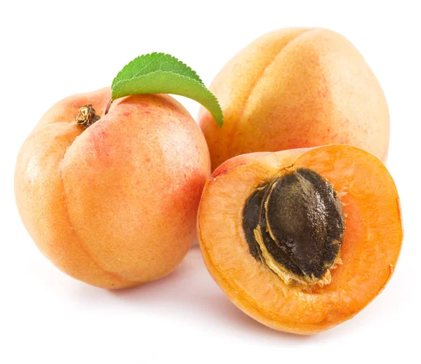 Kayısı ve beyaz zemin üzerine onun kesit.