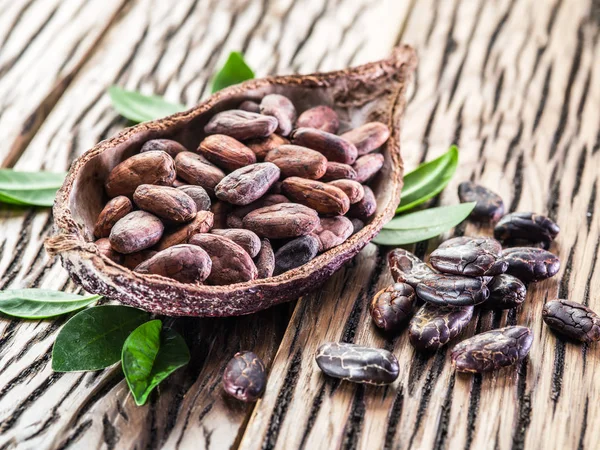 Ahşap masa Cocao pod ve cocao fasulye.