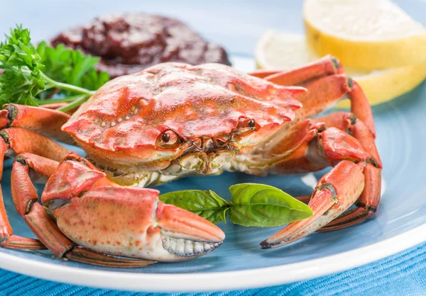 Cangrejo cocido con limón y hierbas . — Foto de Stock