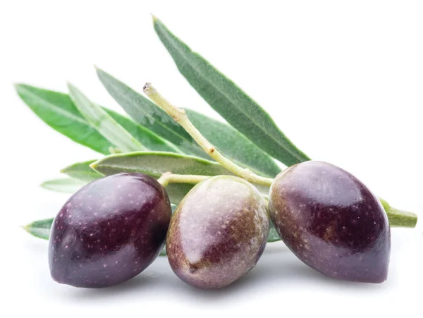 Three fresh olives with leaves on the white background. — Stock Photo, Image