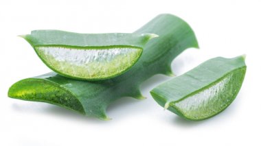 Aloe ya da Aloe vera beyaz arka planda taze yapraklar ve dilimler.