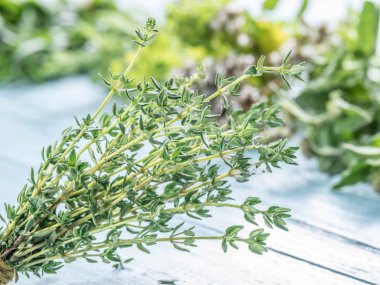 Demet taze kekik ot ahşap tablo.