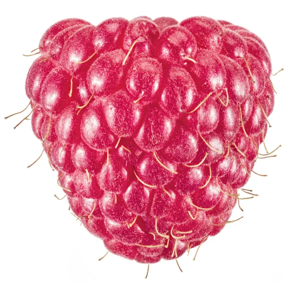 Ripe raspberry on the white background. — Stock Photo, Image