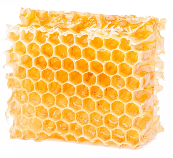 Honeycomb. Hög kvalitet bild. — Stockfoto