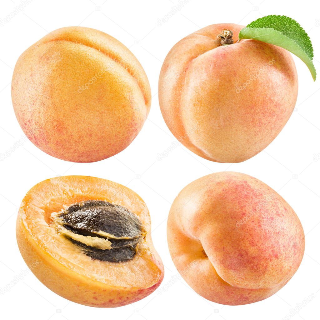 Ripe apricot fruits and apricot slice. File contains four clippi