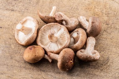 Shiitake mantar ahşap arka plan üzerinde.