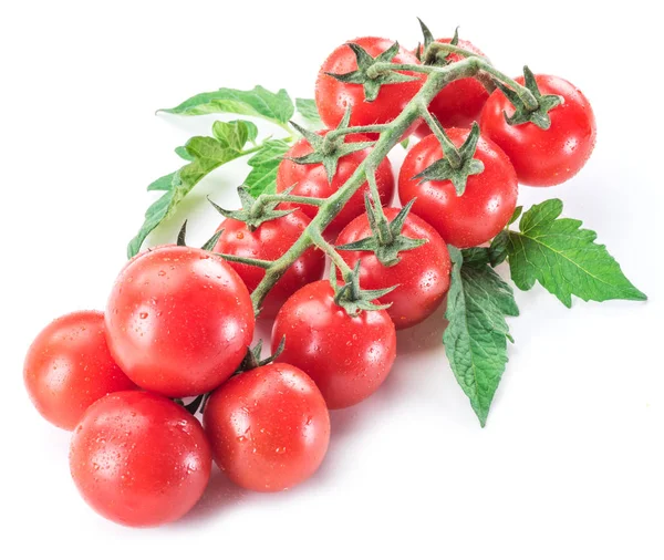 Zweig von Kirschtomaten auf weißem Hintergrund. — Stockfoto