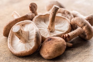 Shiitake mantar ahşap arka plan üzerinde.