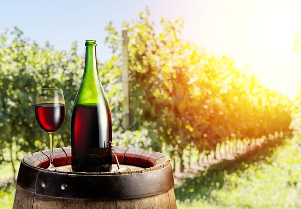 Bir bardak kırmızı şarap ve şarap şişesi üzerinde meşe fıçı. Bağ TH — Stok fotoğraf