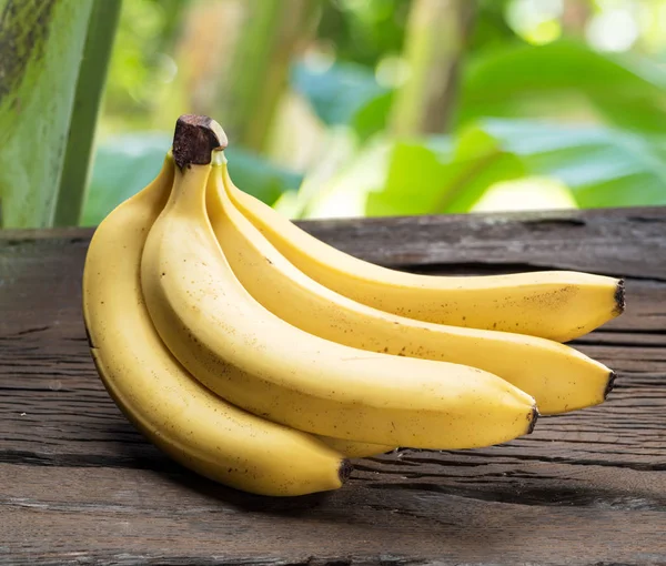 Um bando de bananas na mesa de madeira. Natureza no fundo . — Fotografia de Stock
