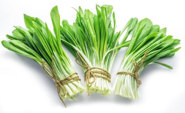 Genç taze yabani sarımsak demetleri.