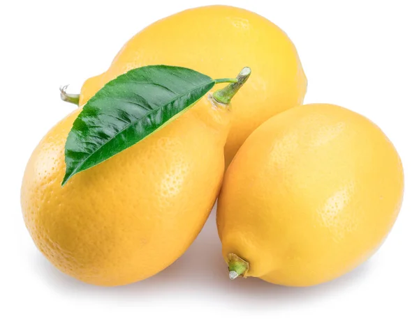 Frutti di limone maturi con foglia di limone sullo sfondo bianco . — Foto Stock