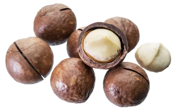 Macadamia nuts or bush nuts isolated on white background. — Stock Photo, Image