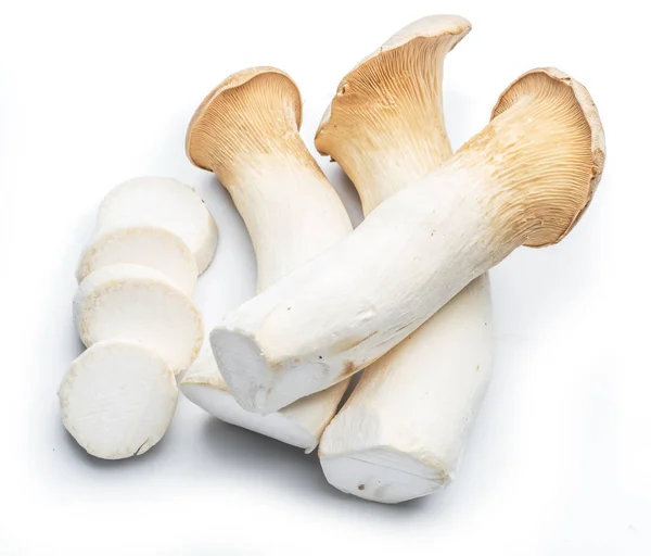 Rei ostra cogumelos no fundo branco . — Fotografia de Stock