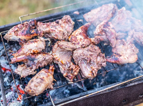 Nutria kött på grillen. — Gratis stockfoto