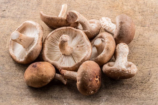 Cogumelos shiitake no fundo de madeira . — Fotografia de Stock