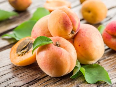 Kayısı ve onun kesit eski ahşap tablo.