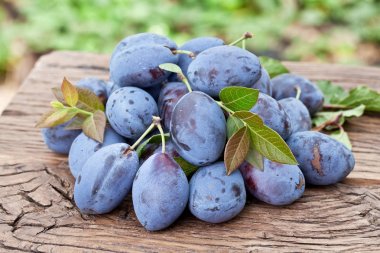 Erik eski ahşap masa.