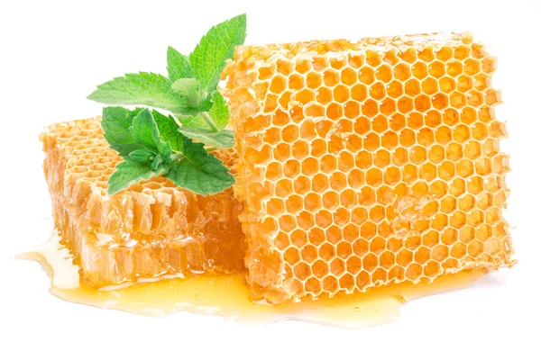 Pente de mel e hortelã. Imagem de alta qualidade . — Fotografia de Stock